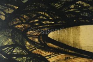 Krajcsirovits Henrik (1929-2007): Dunakanyar, 1970. Olaj, farost, jelezve jobbra lent. Hátoldalán Ké...