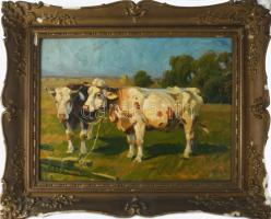 Viski jelzéssel: Tehenek. Olaj, karton. Dekoratív, sérült fakeretben, 36,5×48 cm