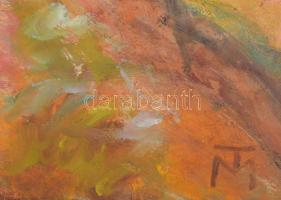 TM jelzéssel: Ülő női alak. Olaj, vászon. Zsellér Jenő, a Tóth Menyhért-i szerzői jogok örököse igaz...