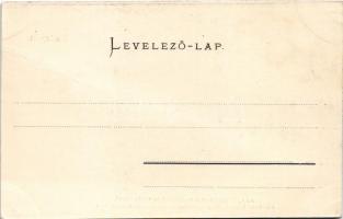 Budapest I. Az új királyi vár a várkerttel és várbazárral, montázs téli tájképpel. Ganz Antal 65. (f...