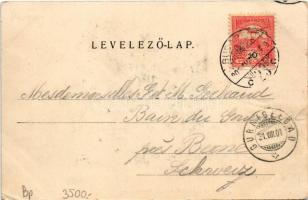 1901 Budapest XII. János-hegy (Pozsonyi-hegy), vendéglő, étterem kerthelyisége. Stern Jakab kiadása ...