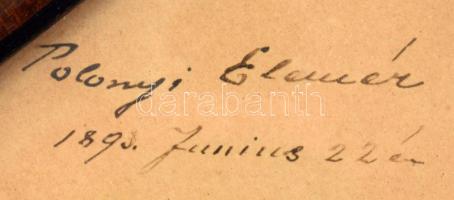 1892 Polonyi Elemér, született Pollatschek Juda Elemér (1870-1942) zongoraművész, zenepedagógus auto...