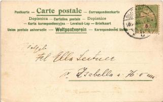 1905 Children art postcard. A.S.W. Serie 1087. litho