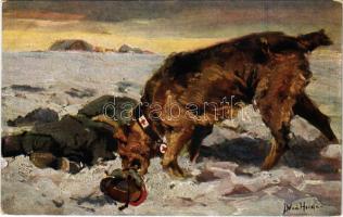 Der Sanitätshund hat in der Einsamkeit der Schneefelder einen Verwundeten gefunden. Der Sanitätshund...