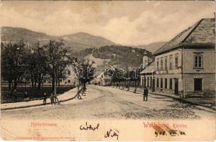 1908 Wolfsberg (Kärnten), Herbertstrasse / street view. Verlag Fritz Steinwender (EB)