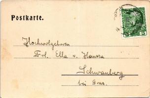 1908 Wolfsberg (Kärnten), Herbertstrasse / street view. Verlag Fritz Steinwender (EB)