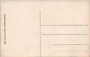 Dicsőszentmárton, Tarnaveni, Diciosanmartin; Kisküküllő vármegyei közkórház és elmegyógyintézet (kór...