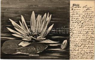 1903 Hévíz, lótusz virág. Marton Móric kiadása