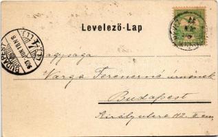 1903 Hévíz, lótusz virág. Marton Móric kiadása