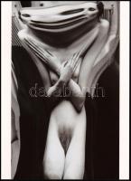 1933 Kertész Andor (később André Kertész) (1894-1985) magyar (később francia - amerikai) fotóművész felvétele (Torzítások sorozatból a 168.#), 1 db modern nagyítás, jelzés nélkül, 21x15 cm