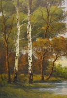 Csergezán Pál jelzéssel: Vaddisznók. Olaj, vászon. 60x80 cm