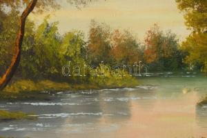 Csergezán Pál jelzéssel: Vaddisznók. Olaj, vászon. 60x80 cm