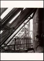 cca 1938 Besnyő Éva (1910-2003) magyar származású holland fotográfus felvétele, 1 db modern nagyítás, jelzés nélkül, 21x15 cm