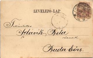 1901 Hortobágy, Délibáb a Hortobágyon, magyar folklór. Pongrácz Géza kiadása. Kiss Ferenc eredeti fé...