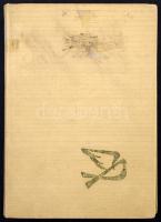 Óceánia és Antarktisz több, mint 100 db bélyeg közepes berakóban