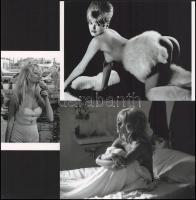 Brigitte Bardot (1934-2025) francia színésznőről készült felvételek, 3 db modern nagyítás, jelzés nélkül, 15x21 cm és 15x10 cm