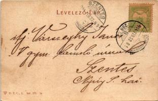 1904 Hortobágy, gulyás tanya, magyar folklór. D.T.C.L. Ser. 271. 14. + "KOLOZSVÁR - BUDAPEST 29...