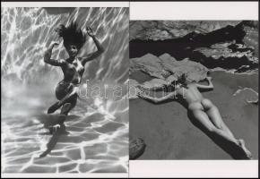 cca 1951 André de Dienes (korábban Ikafalvi-Dienes Andor György) (1913-1985) magyar -amerikai fotóriporter és fotóművész felvételei, 2 db modern nagyítás, jelzés nélkül, 21x15 cm