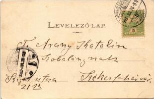1903 Herkulesfürdő, Baile Herculane; Cserna-völgy. Fenyves Oszkár kiadása / Cserna-Thal / valley, sp...