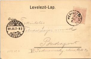 1899 Herkulesfürdő, Baile Herculane; a Coronini pihenőről látva. Hirsch József kiadása / Herkulesbad...