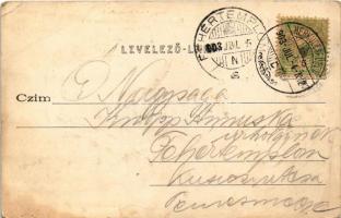 1899 Herkulesfürdő, Baile Herculane; Herkules Platz / tér, Nándor Udvar, Sarolta fürdő. Hirsch Józse...