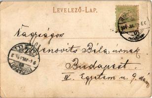 1904 Herkulesfürdő, Baile Herculane; Herkules kút. R. Krizsány kiadása / Herkulesbrunnen / well, fou...