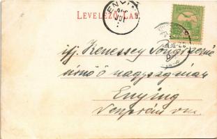 Herkulesfürdő, Baile Herculane; Ferenc József udvar. R. Krizsány kiadása / Franz Josefs Hof / spa (f...