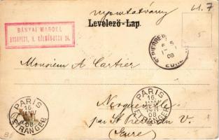 1908 Budapest, Lánchíd, Bazilika, látkép, hajók, montázs gólyával. TCV card (EK)