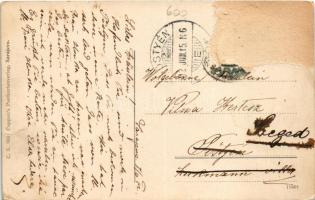 1912 Sarajevo, Kaipartie / Obala / view, mosque, bridge. Cappon's Postkartenverlag (b)