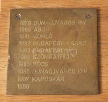 1979-1988 Dr. Münich Ferenc Baráti Kör Találkozói emlékserleg, fém, fa, táblával, 30x43cm