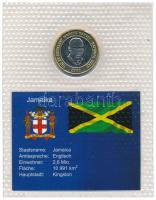 Jamaica 2000. 20$ "A világ bimetál érméi" műanyag díszlapon T:UNC Jamaica 2000. 20 Dollars on "Bimetall-Münzen der Welt" plastic sheet C:UNC