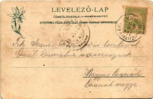 1904 Tátra, Magas-Tátra, Vysoké Tatry; Szepes-Zips, Paraszt népviselet, Ferenc József csúcs. Feitzin...