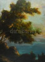 Háry Gyula (1864-1946): Nápoliy öböl látképe. Olaj, vászon, jelzett, javított, apró sérüléssel. Deko...