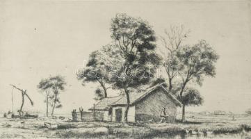 Boldizsár István (1897-1984): Mocsár libákkal. Rézkarc, papír, jelzett, számozott (59/100), üvegezett fakeretben, 16x29 cm.