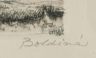 Boldizsár István (1897-1984): Mocsár libákkal. Rézkarc, papír, jelzett, számozott (59/100), üvegezet...