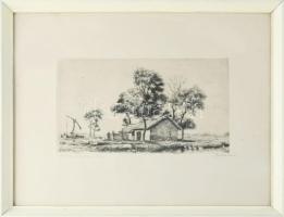 Boldizsár István (1897-1984): Mocsár libákkal. Rézkarc, papír, jelzett, számozott (59/100), üvegezet...