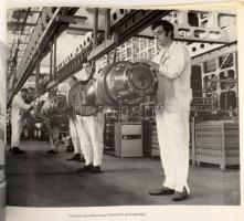 Tabiczky Zoltánné: A Magyar Vagon- és Gépgyár története. 1-2. kötet. 1. köt.: 1896-1945. 2. köt.: 19...