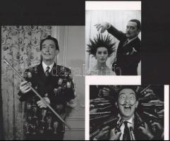 cca 1960 előtti felvételek Dali, Salvador (1904-1989) katalán - spanyol szürrealista festőművészről, aki fényképezés közben gyakran önmagát rendezte, vagyis kitalálta előre a képet, s ehhez hívott fotós segítséget, eltérő időben készült felvételek, 3 db modern nagyítás, jelzés nélkül (Dali, a delejes), 21x15 cm és 15x10 cm