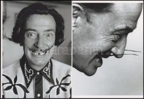 Dali, Salvador (1904-1989) katalán - spanyol szürrealista festőművész, aki fényképezés közben gyakran önmagát rendezte, vagyis kitalálta előre a képet, s ehhez hívott fotós segítséget, eltérő időben készült felvételek (A bika; Csorbacsík), 2 db modern nagyítás, jelzés nélkül, 21x15 cm