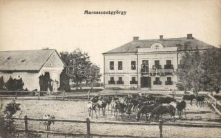 Marosszentgyörgy horse farm