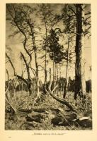 Ossendowski, [Ferdynand] Antoni: Polesie. Poznań, [1934], Wydawnictwo Polskie R. Wegner, 206+[2] p. ...