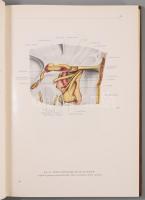 Kiss, Ferenc - Szentágothai, János: Atlas Anatomiae Corporis Humani I-III. Bp., 1963, Akadémiai - Me...