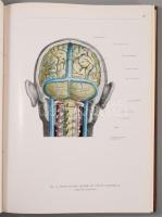 Kiss, Ferenc - Szentágothai, János: Atlas Anatomiae Corporis Humani I-III. Bp., 1963, Akadémiai - Me...