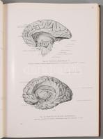 Kiss, Ferenc - Szentágothai, János: Atlas Anatomiae Corporis Humani I-III. Bp., 1963, Akadémiai - Me...