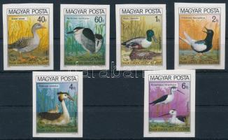 1980 Madarak IX. - Védett vízimadarak vágott sor (4.500)