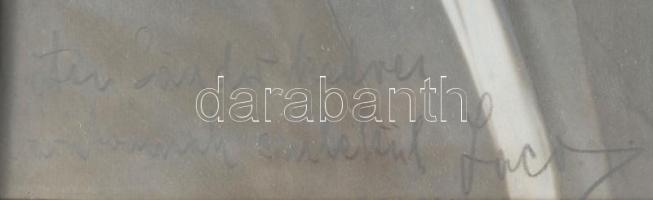 1919 Drumár László hegedűművész autográf aláírása, dedikációja fotón. Üvegezett keretben 23x17 cm