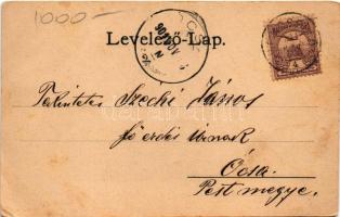 1901 Tokaj, Tiszai Lánchíd (fa)