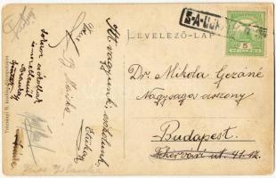 Sárospatak, Református főiskolai új épület északi homlokzata. Trócsányi B. kiadása (kopott sarkak / ...