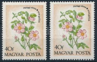 1973 Virág (XI.) - erdők - mezők virágai 40f a fekete szín látványos eltolódásával