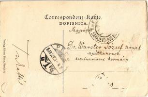 1908 Sarajevo, Strassenpartie bei Sarajevo / street view, Bosnian folklore. Verlag Albert Thier (Rb)